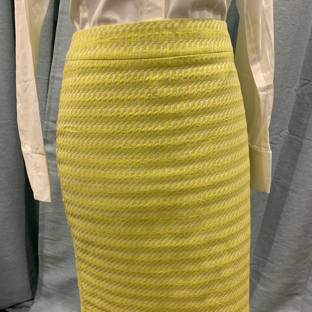 Ann Taylor Skirt
